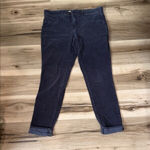 Pilcro Midnight Blue Cropped Jeans